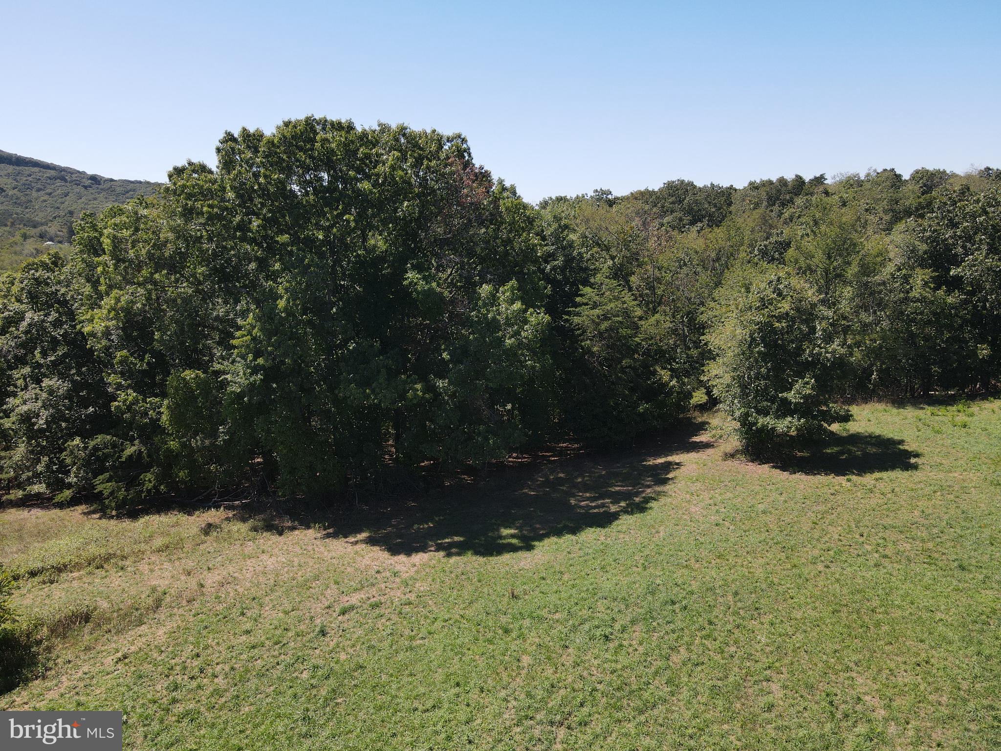 ROMNEY FRUIT RANCHES - Land