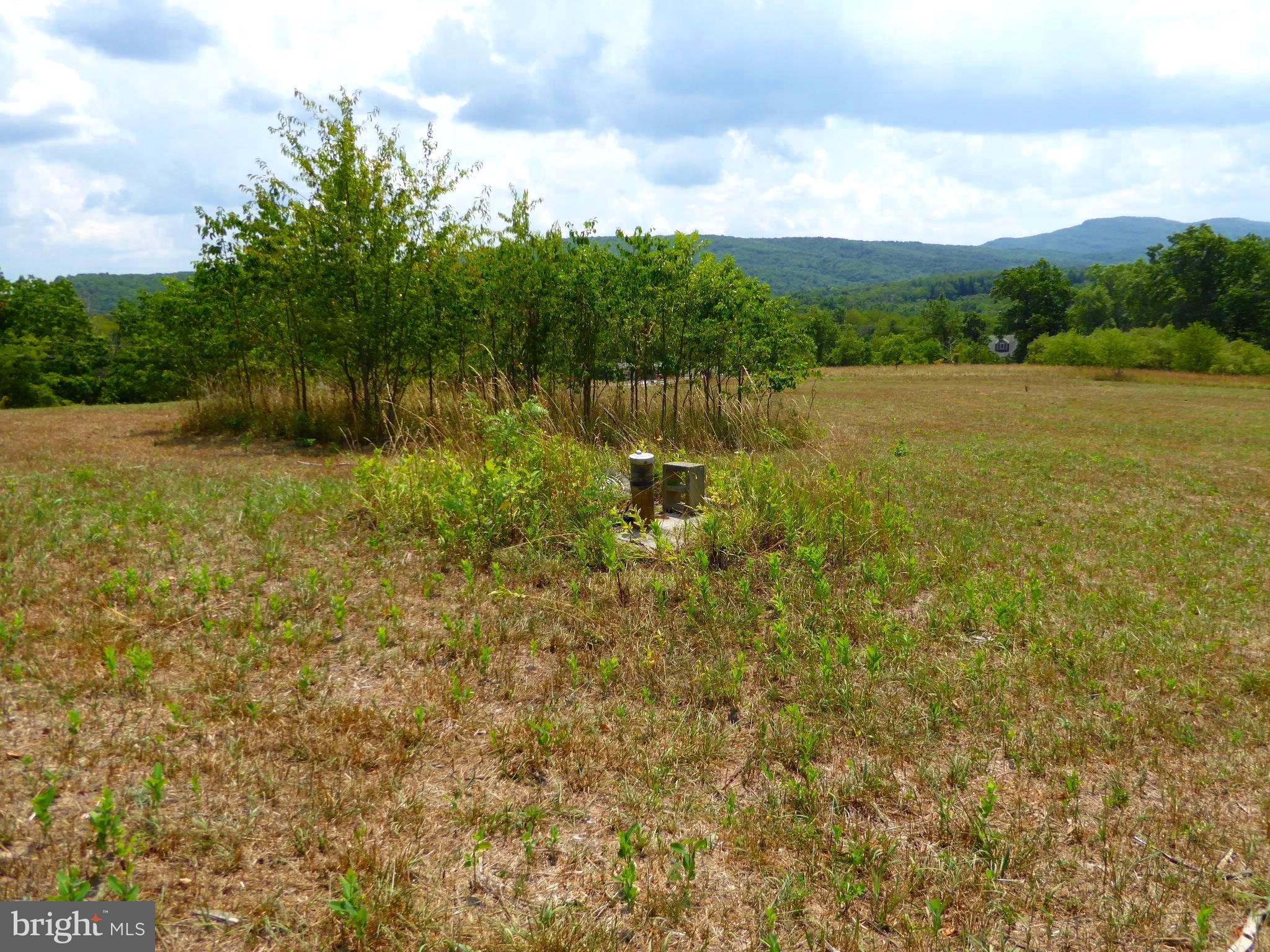 ROMNEY FRUIT RANCHES - Land