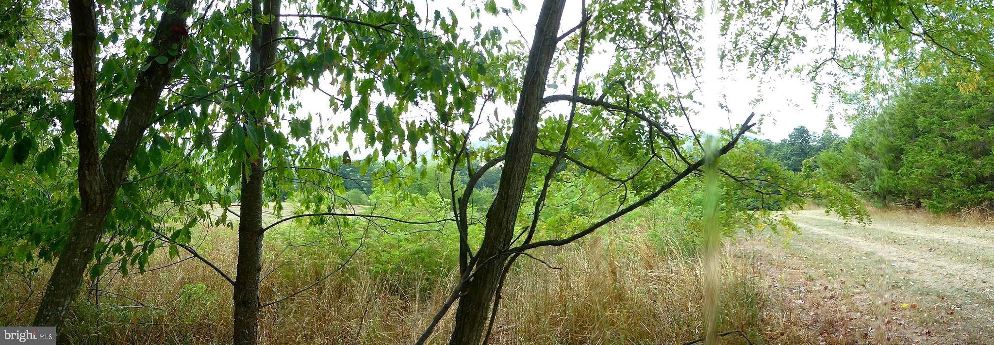 ROMNEY FRUIT RANCHES - Land