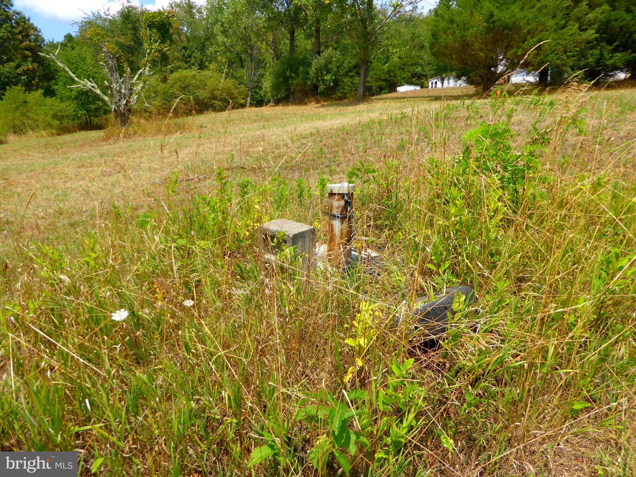 ROMNEY FRUIT RANCHES - Land