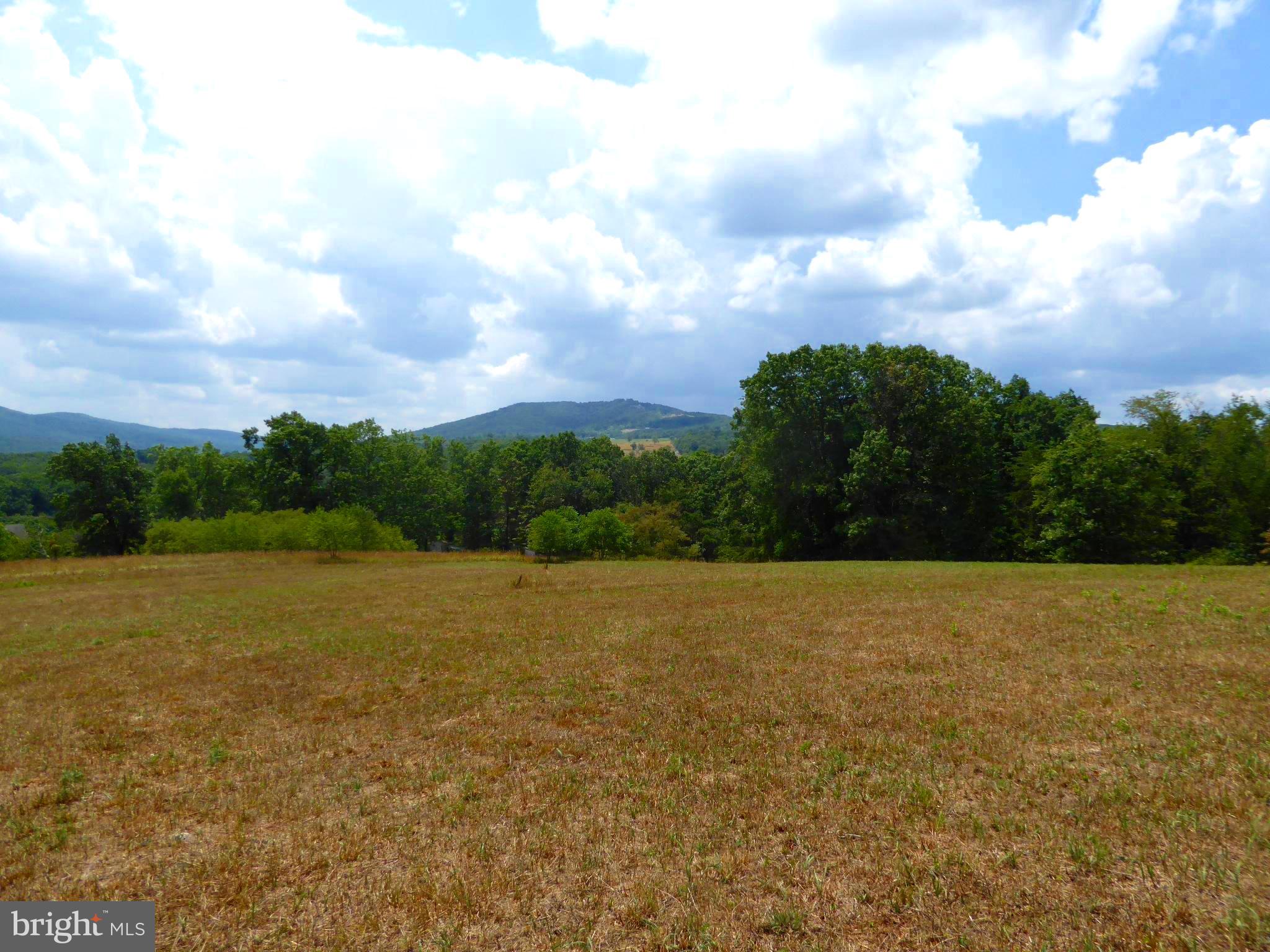 ROMNEY FRUIT RANCHES - Land