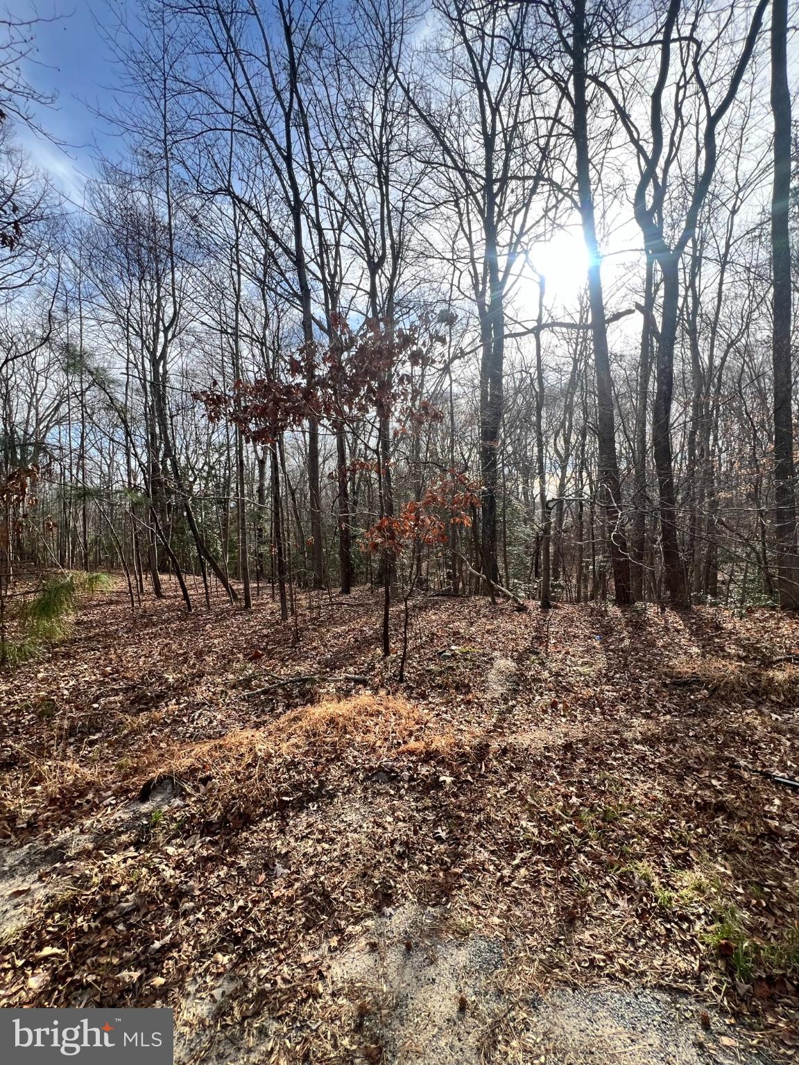 STRATFORD HARBOUR - Land