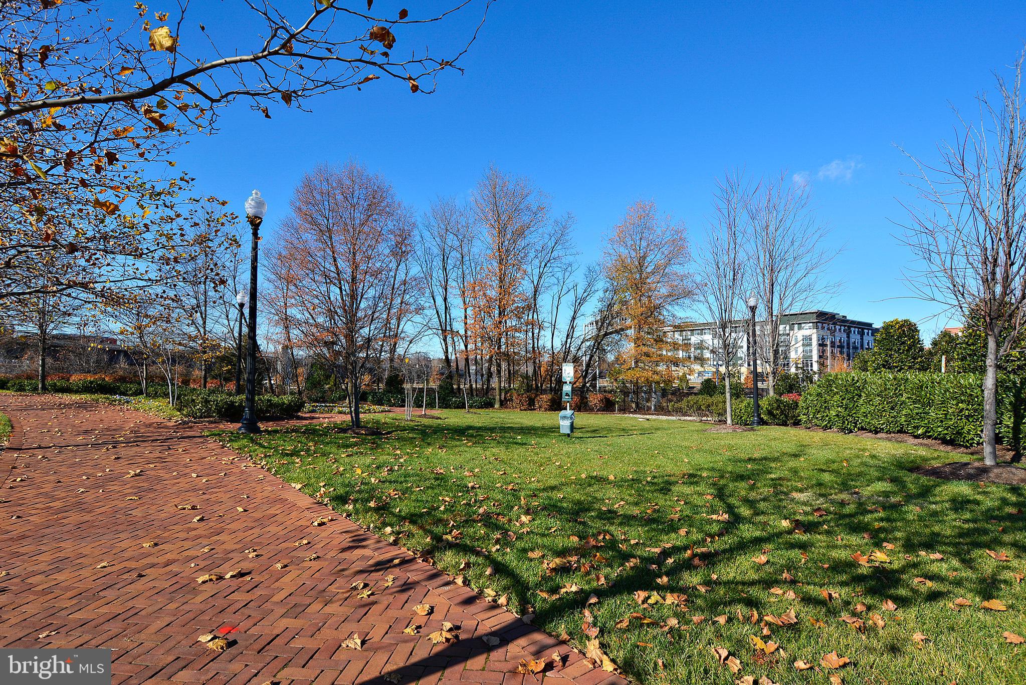 ALEXANDRIA HOUSE - Residential Lease