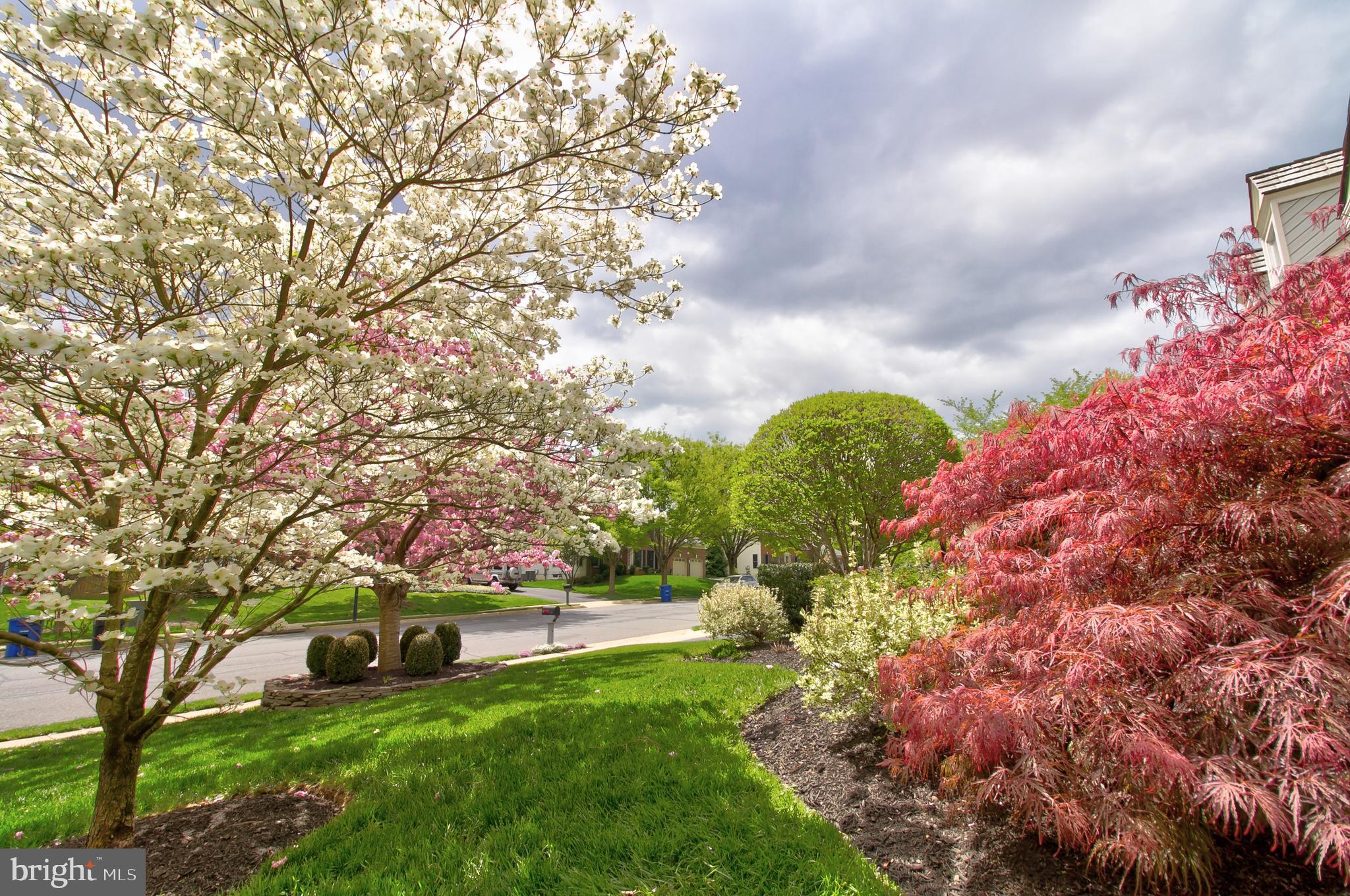 WOODLEA MANOR - Residential