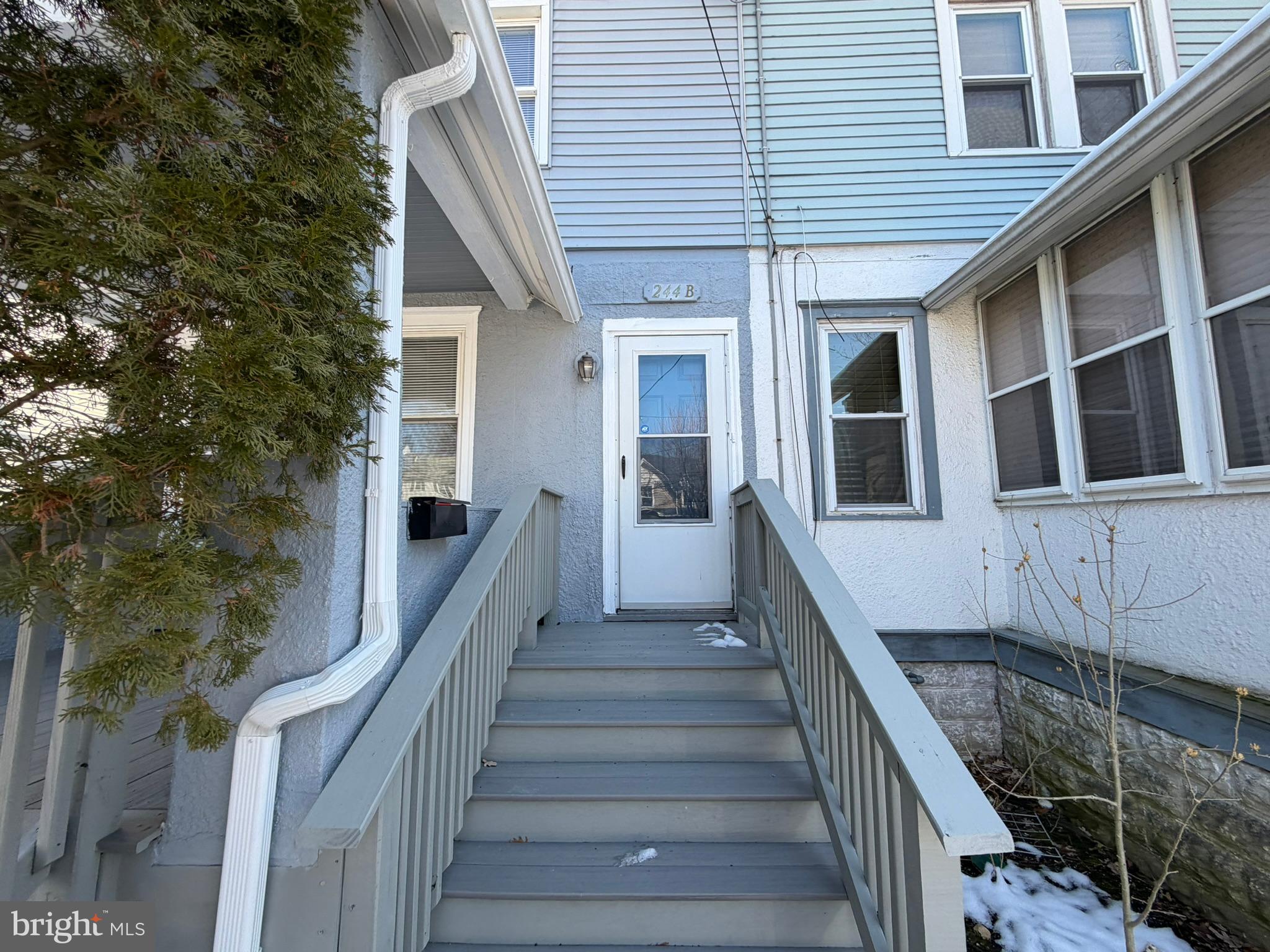 244 MANSION AVENUE B