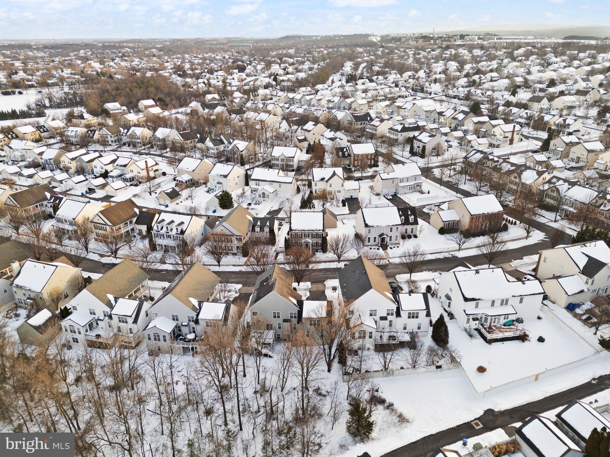 BELMONT GREENE - Residential