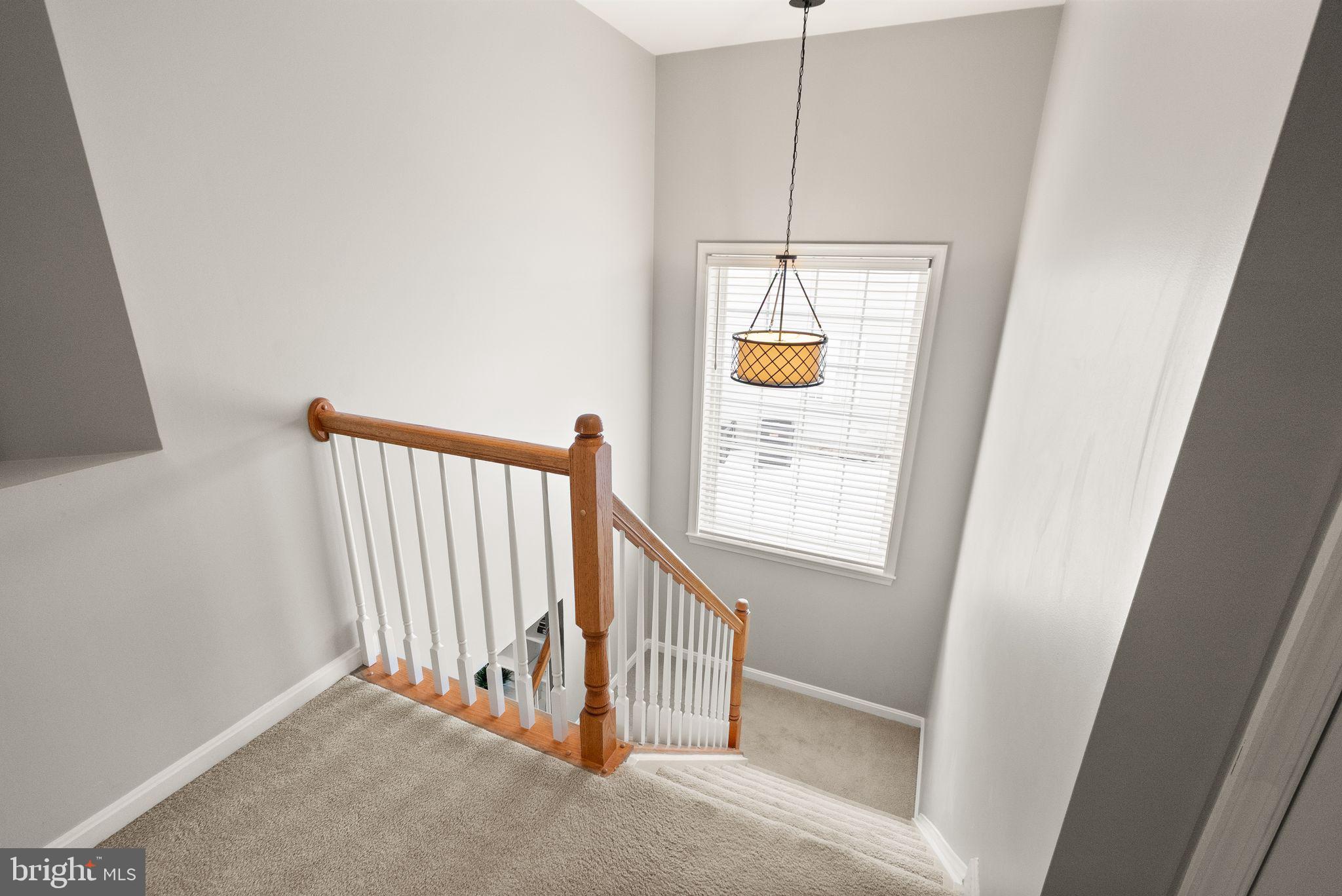 BELMONT GREENE - Residential