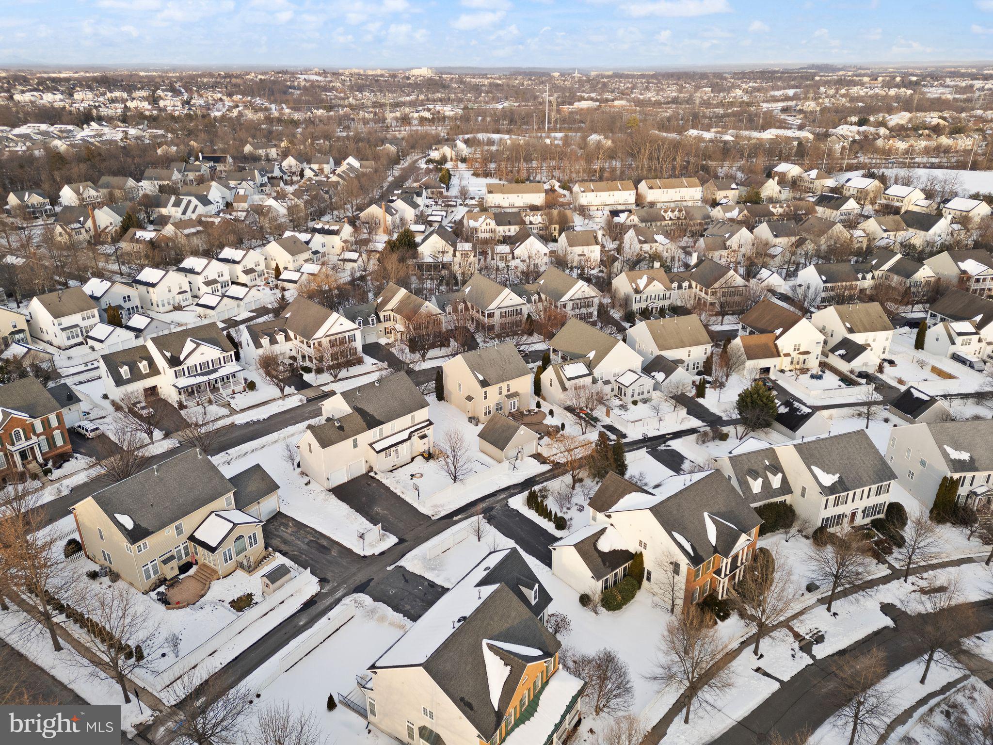 BELMONT GREENE - Residential