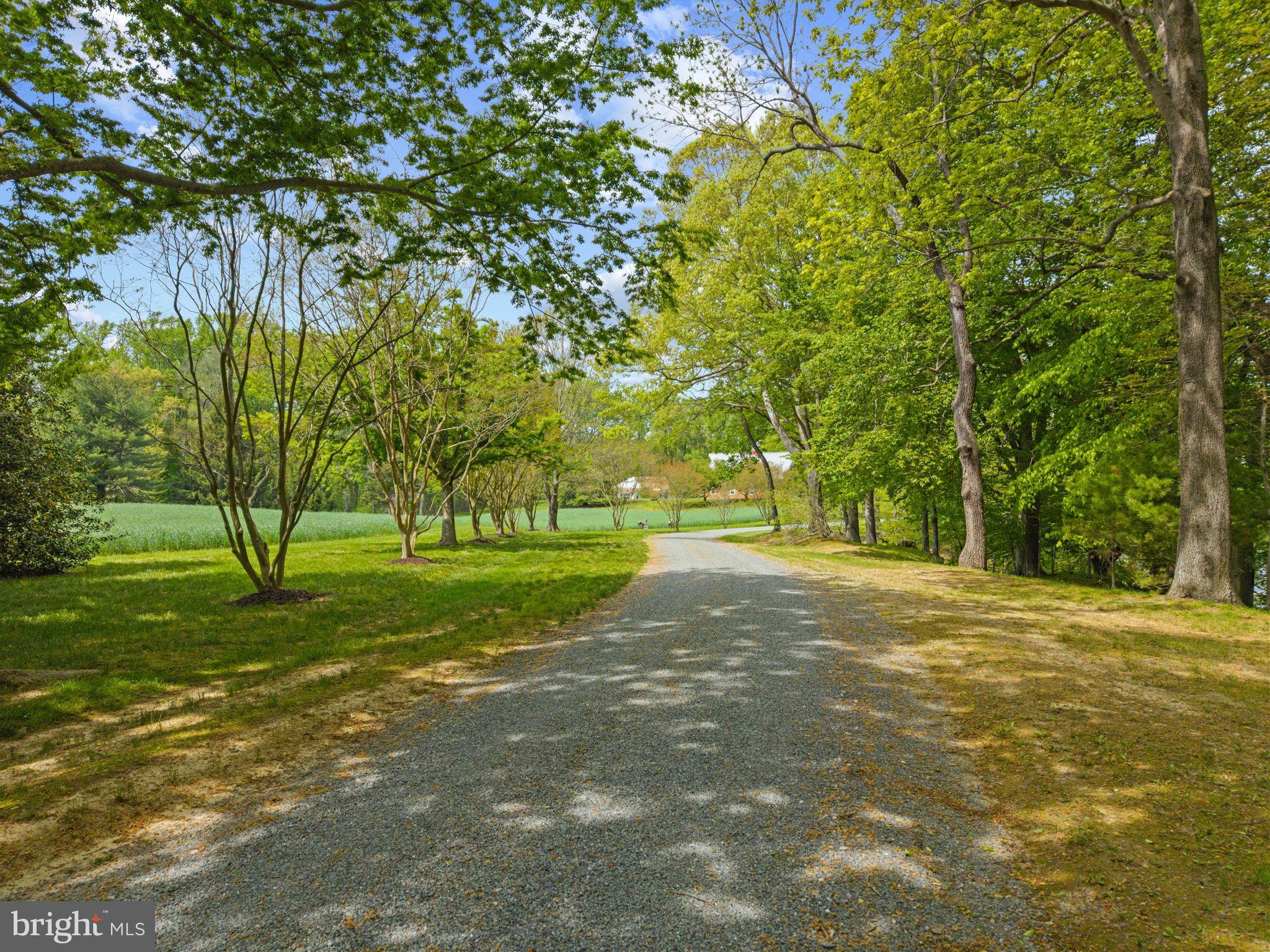 210 CORSICA POINT LANE