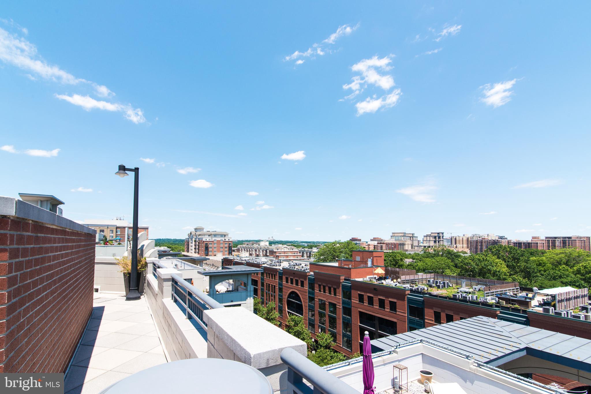 CLARENDON 1021 - Residential Lease