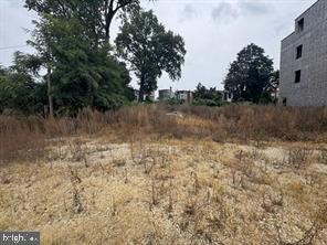 MT AIRY (EAST) - Land