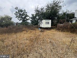 MT AIRY (EAST) - Land