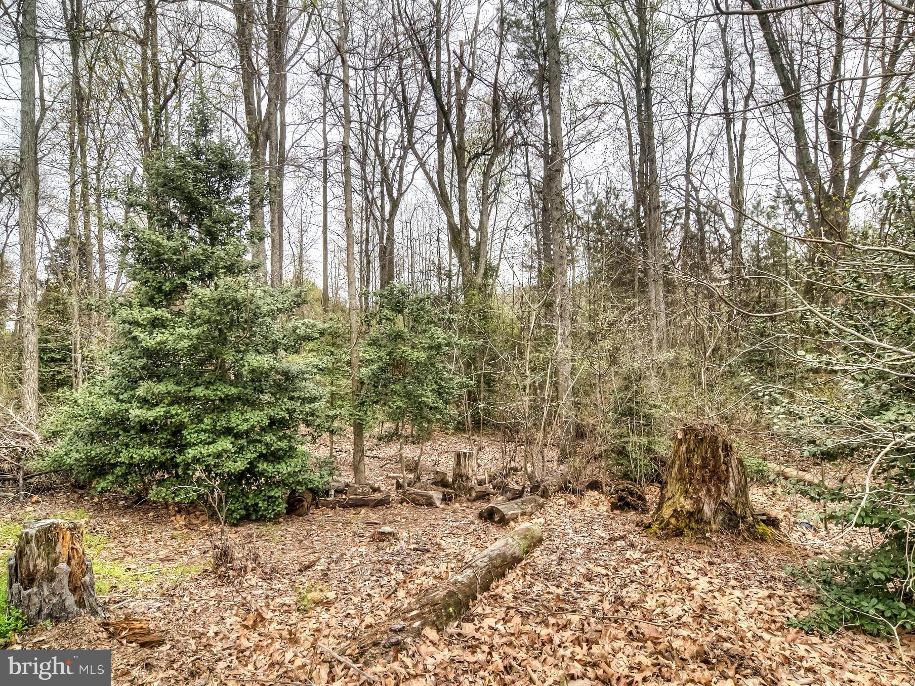 LAKE LAND - Residential