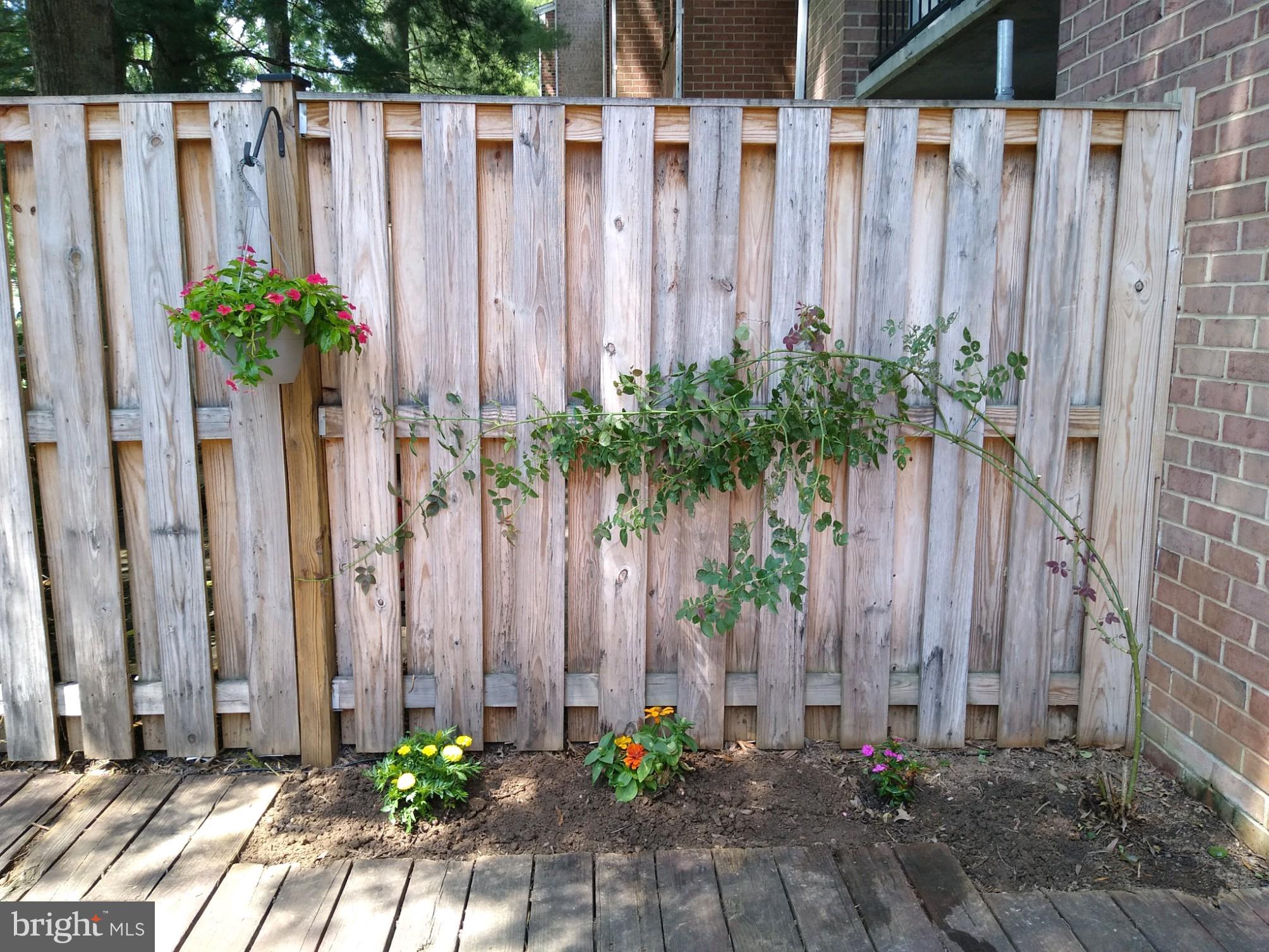 DIAMOND FARM CODM - Residential