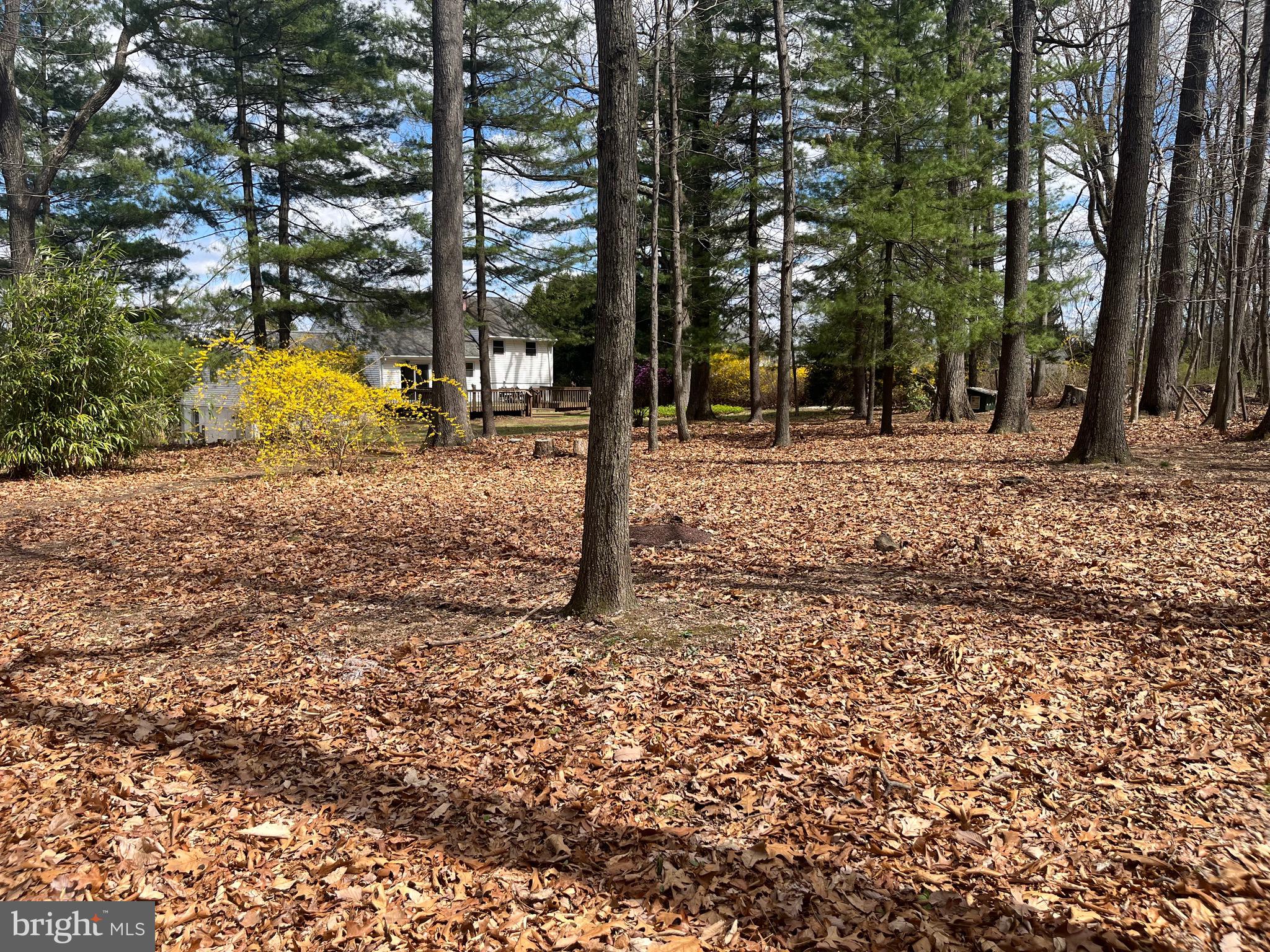 GENERAL WARREN VIL - Residential