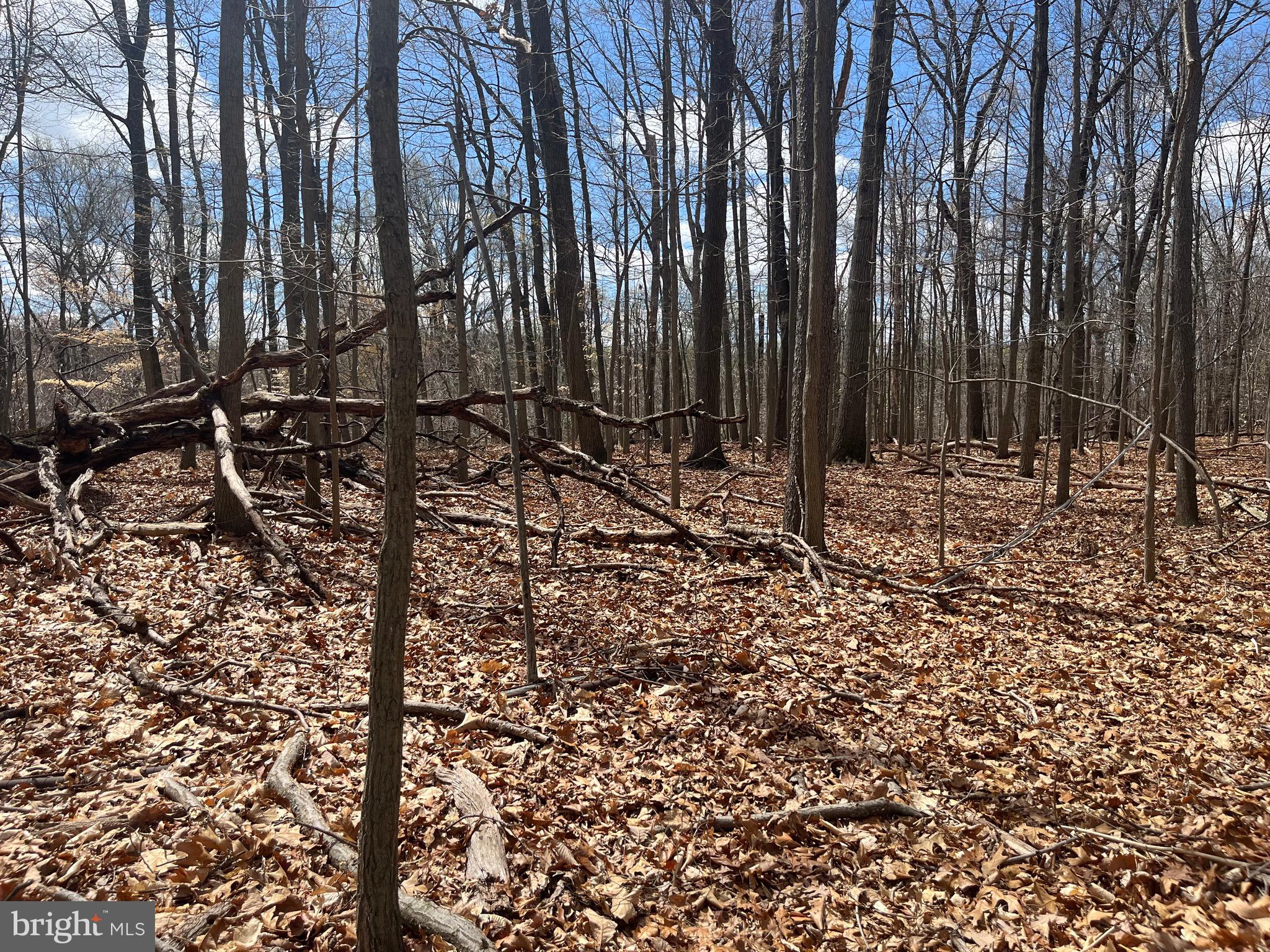 GENERAL WARREN VIL - Residential