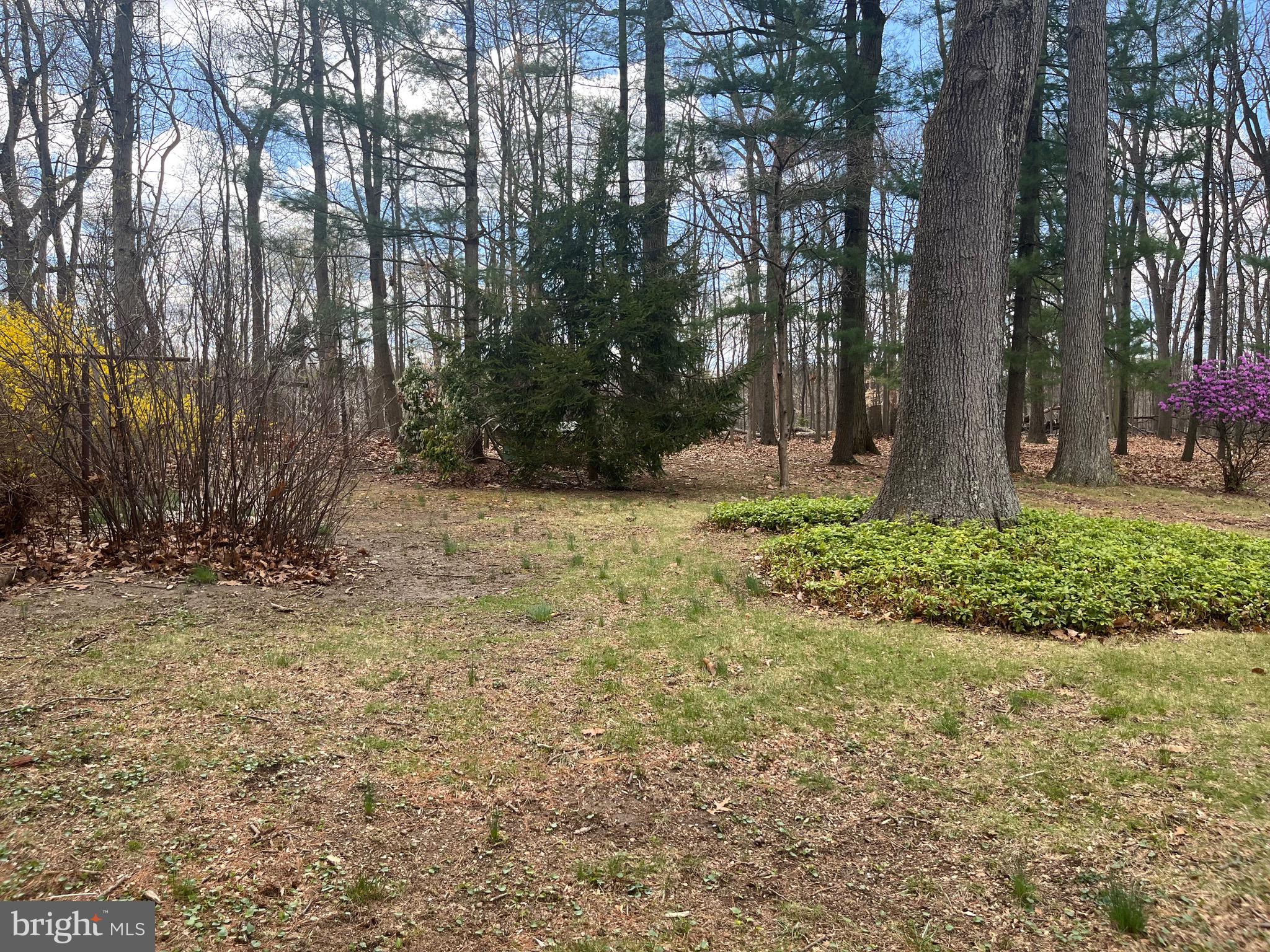 GENERAL WARREN VIL - Residential