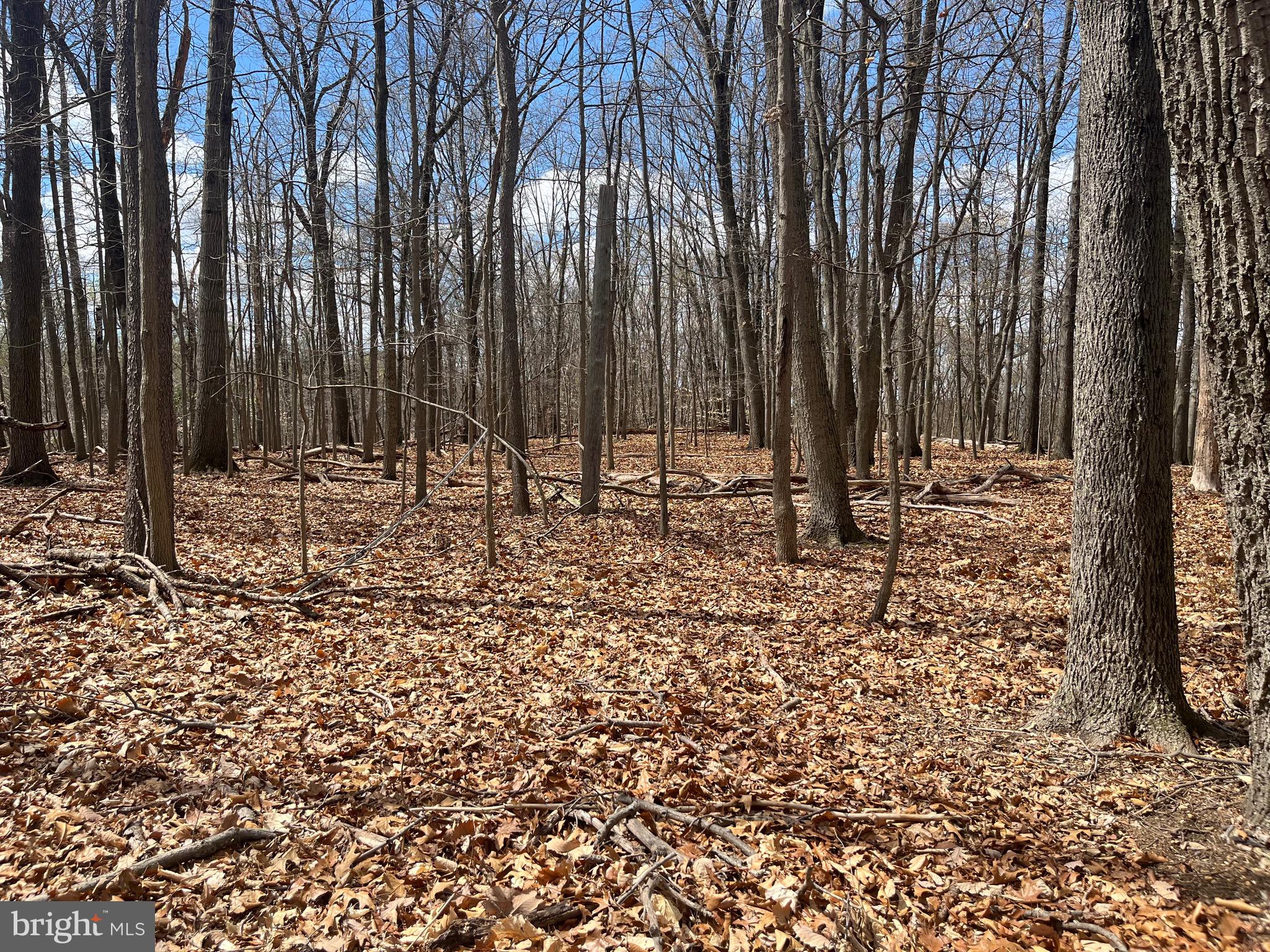 GENERAL WARREN VIL - Residential