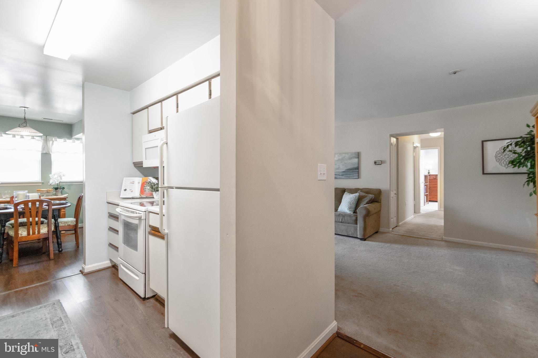 VILLAGE OF MONTGOMERY RUN - Residential