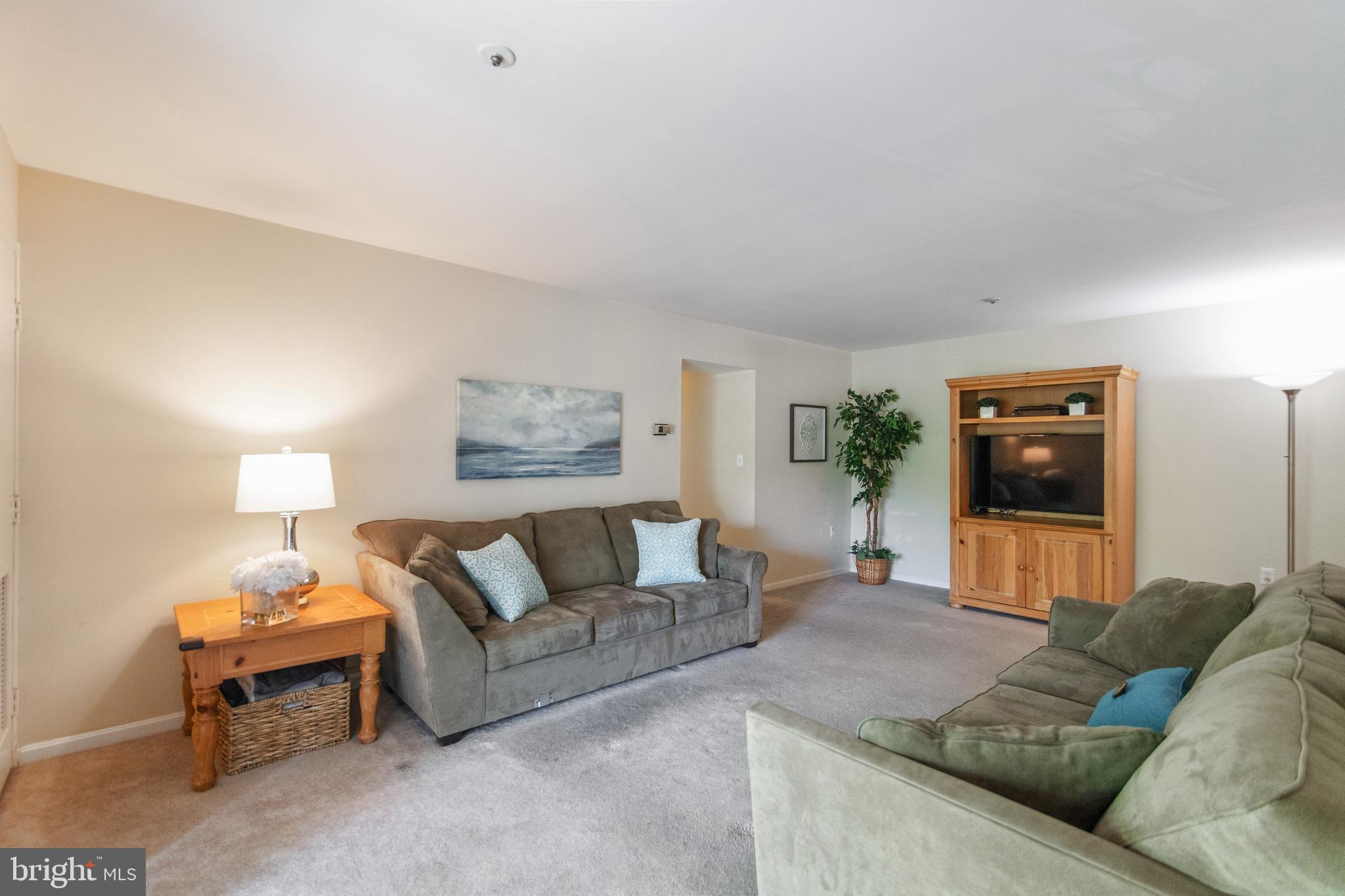 VILLAGE OF MONTGOMERY RUN - Residential