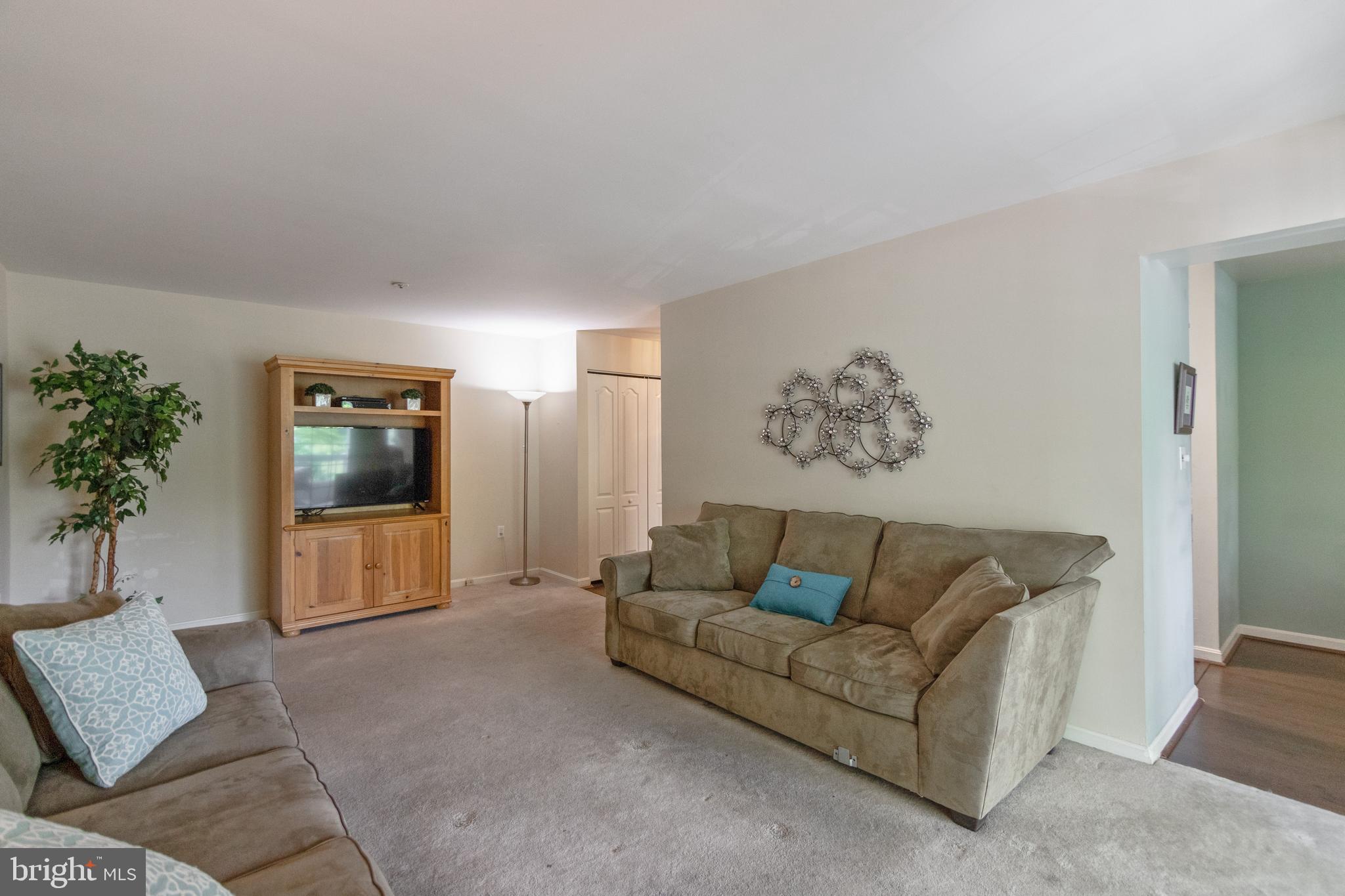 VILLAGE OF MONTGOMERY RUN - Residential