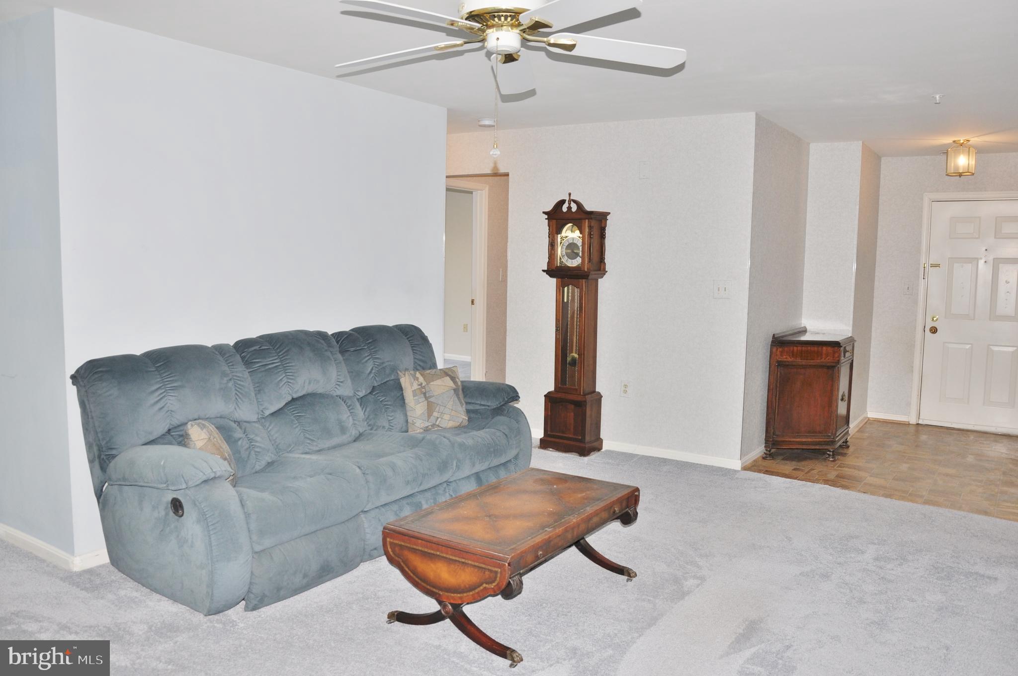 OWINGS MILLS NEW TOWN - Residential