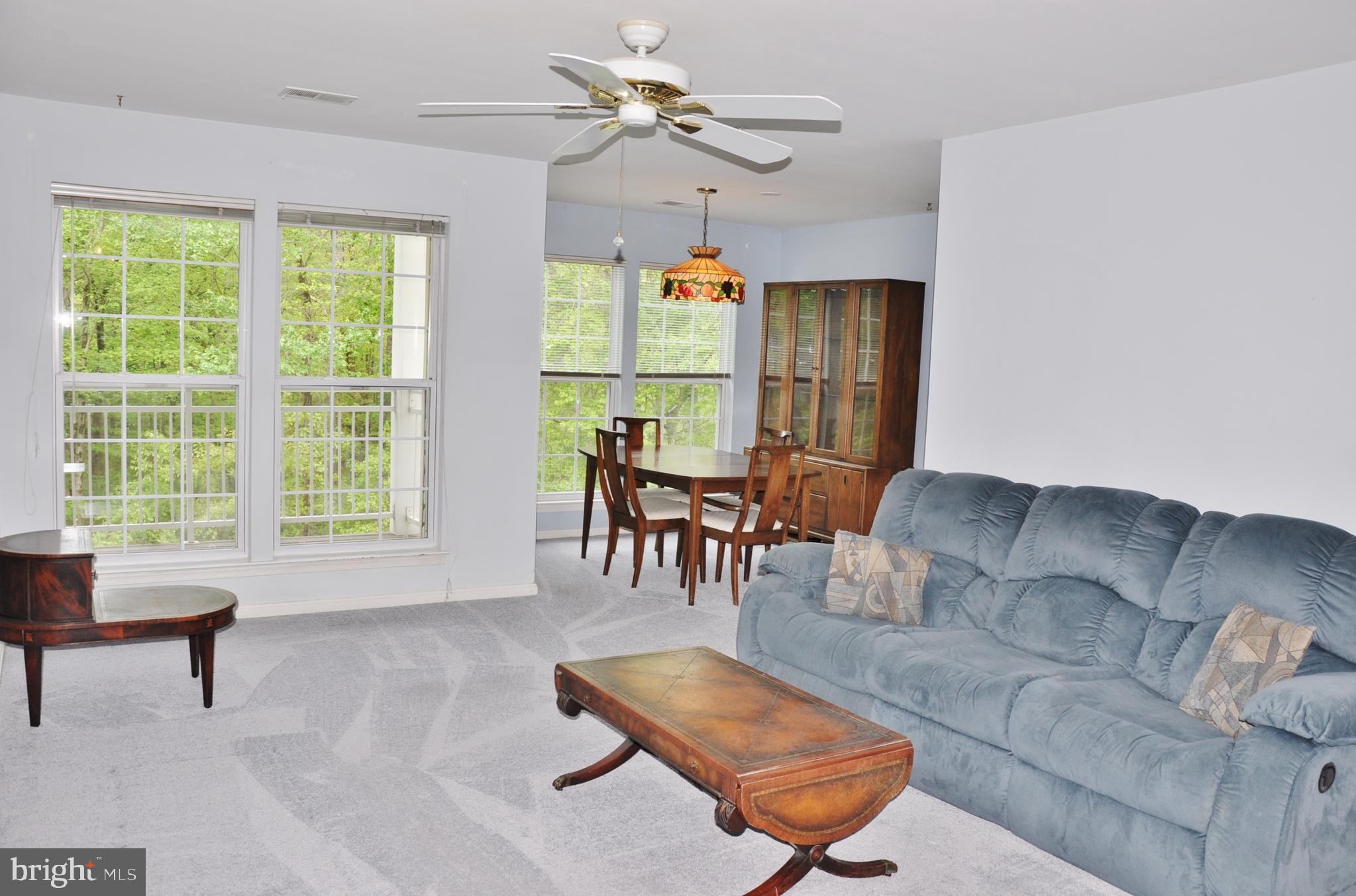 OWINGS MILLS NEW TOWN - Residential