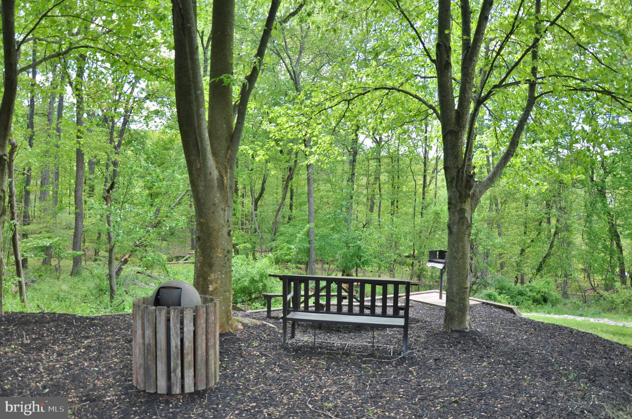 OWINGS MILLS NEW TOWN - Residential