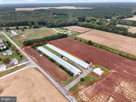 WOODY ROAD, LAUREL, DE 19956 - Image bb228a1e97ca00fc654b025bfbccbe49/3395489464