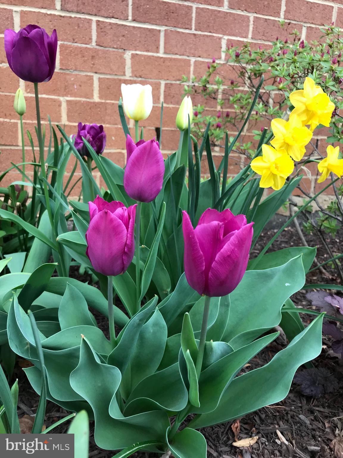 MARBLE HILL - Residential