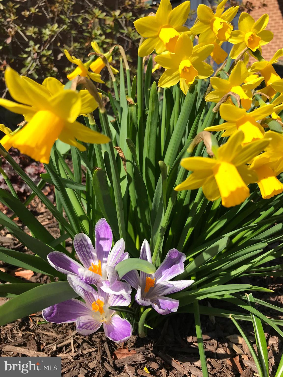 MARBLE HILL - Residential