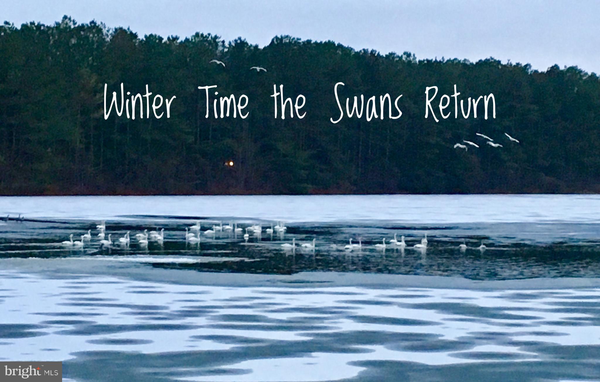 EASTLAKE ESTATES - Residential