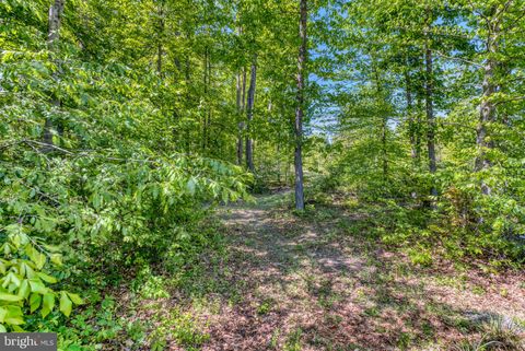Tiny photo for 8427 Tall Oak Drive, CULPEPER, VA 22701 (MLS # VACU2013502)