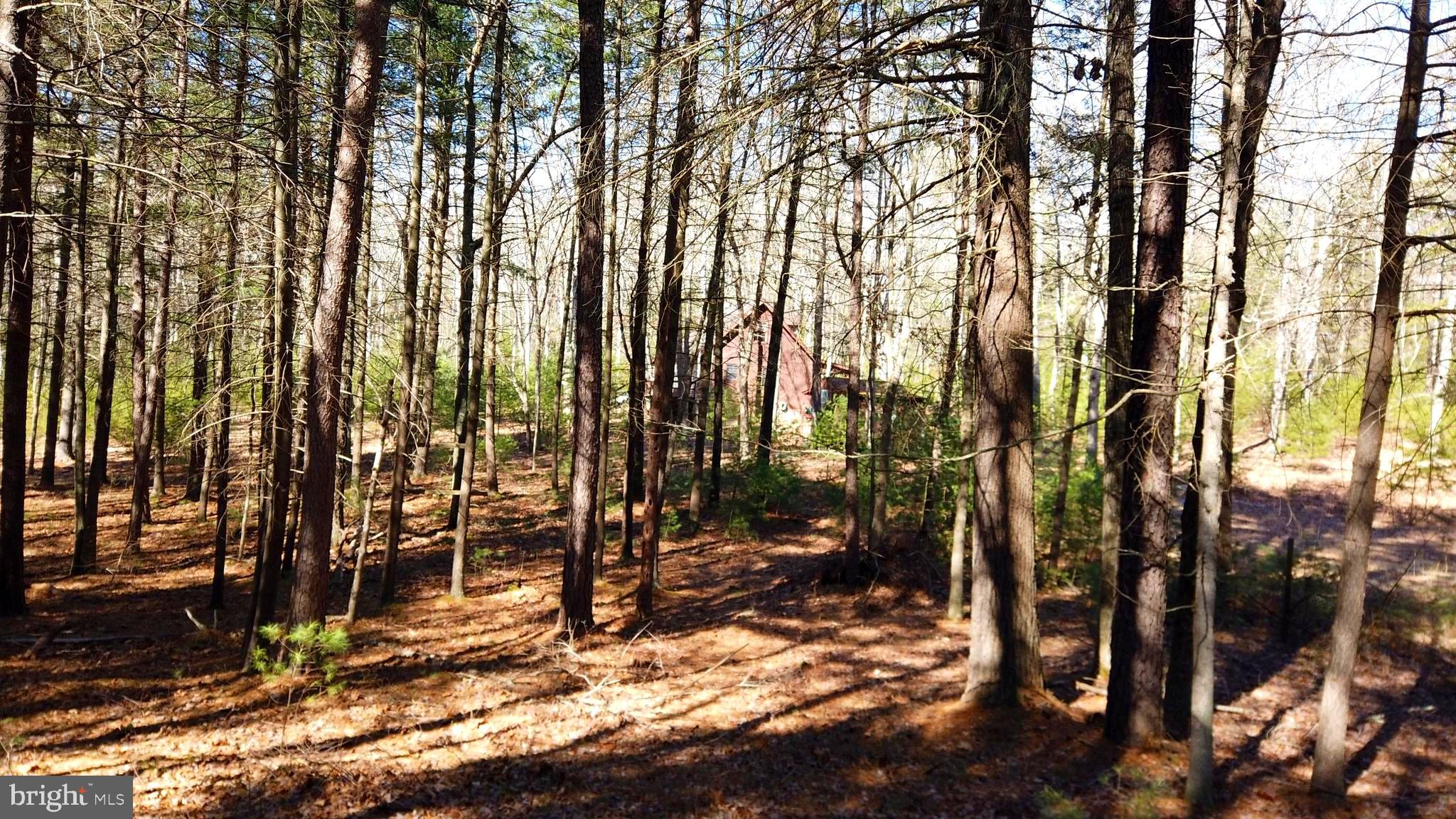 WARDEN LAKE - Residential
