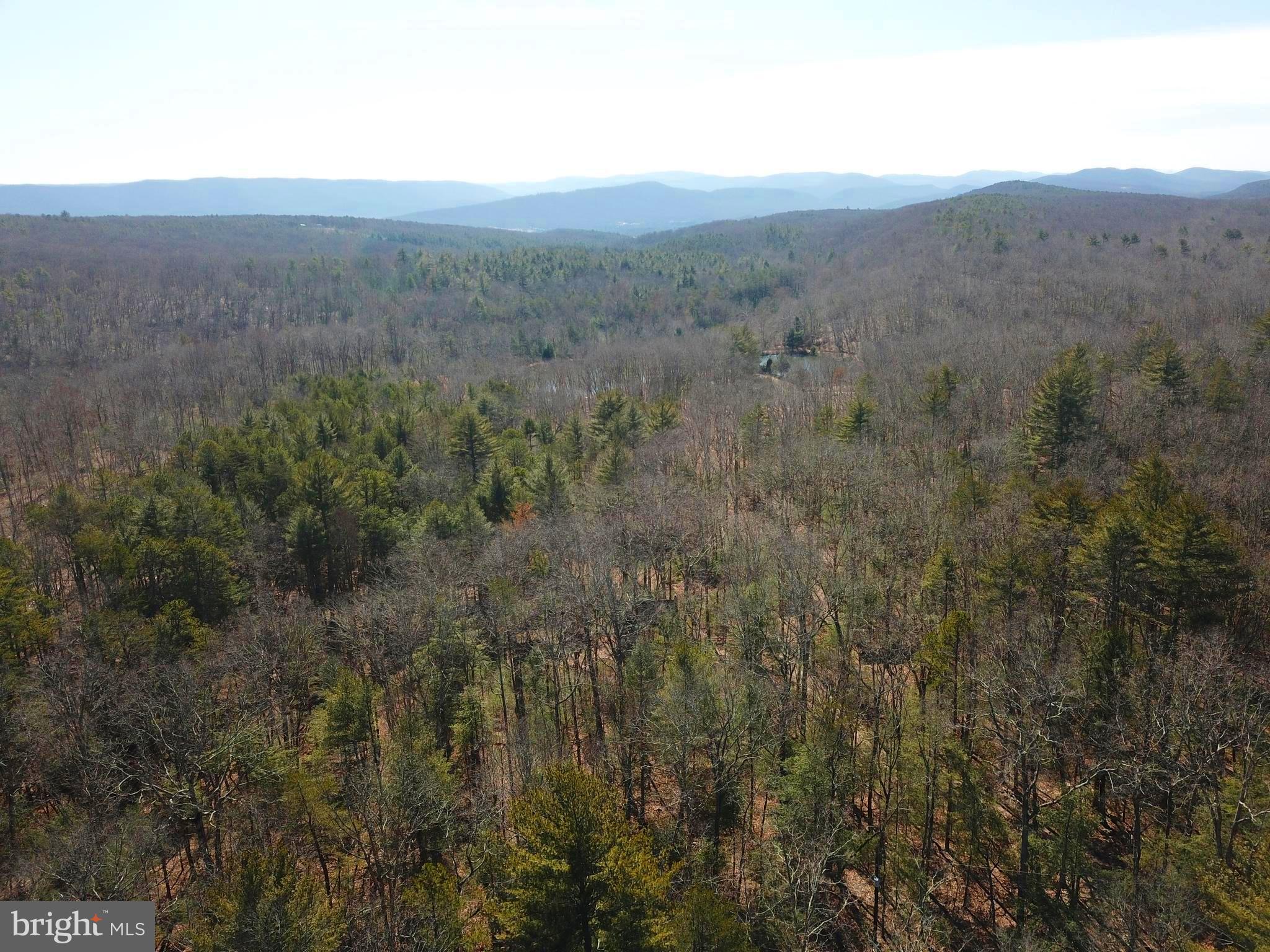 WARDEN LAKE - Residential