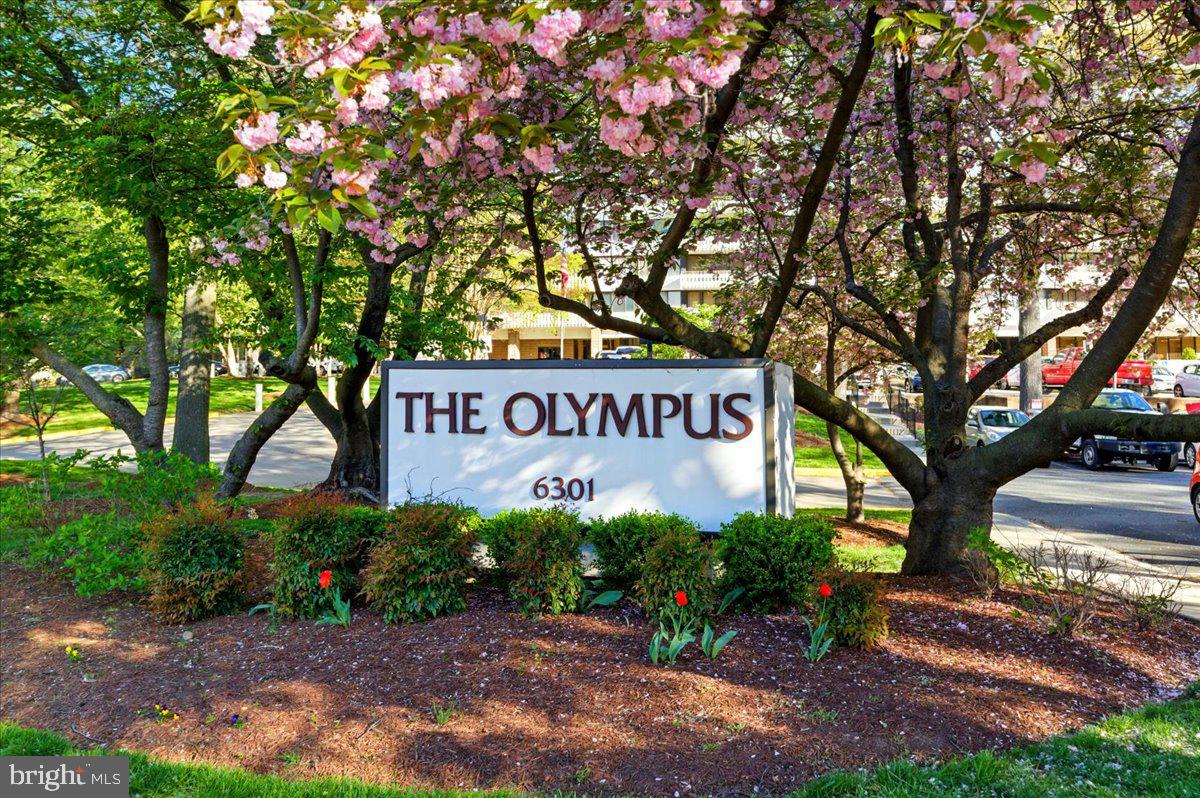 OLYMPUS - Residential