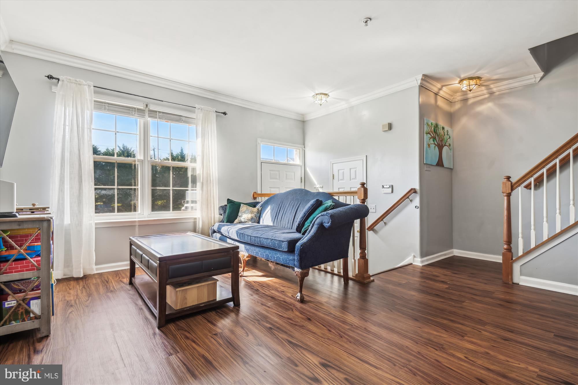 VILLAGE OF PHEASANT GLEN - Residential