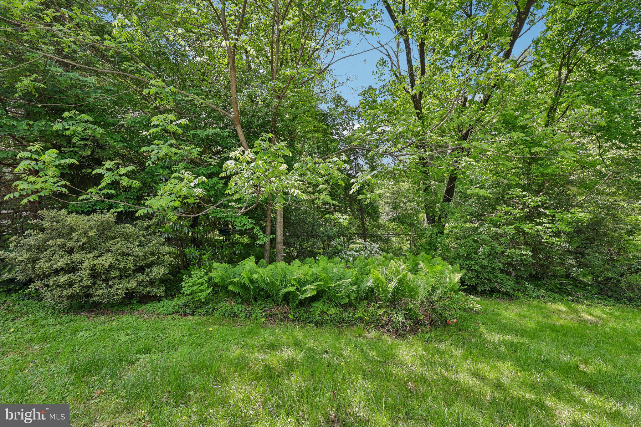 POTOMAC HILLS - Residential