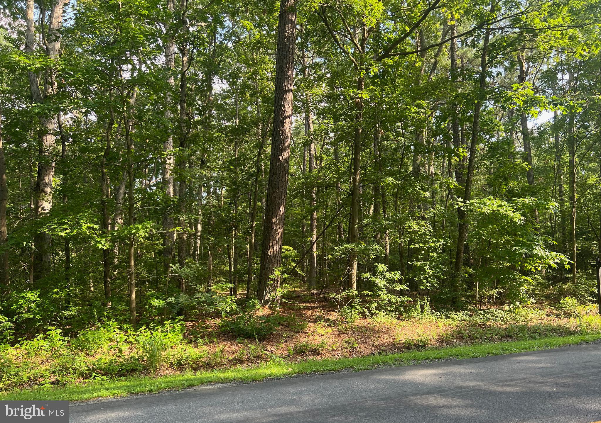PEA NECK RD MAP 32 PARCEL 76 LOT 2
