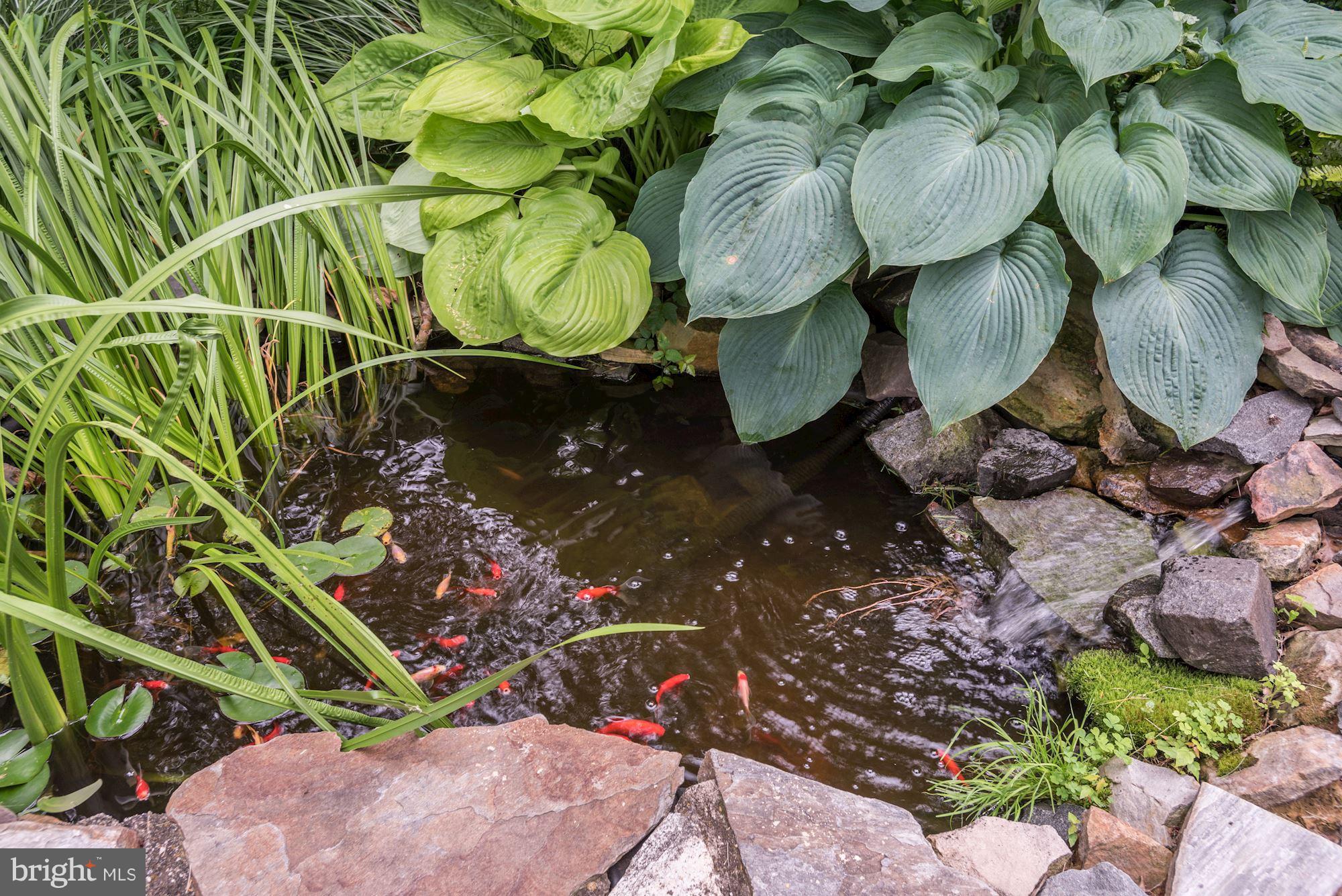 COUNTRY ROADS - Residential