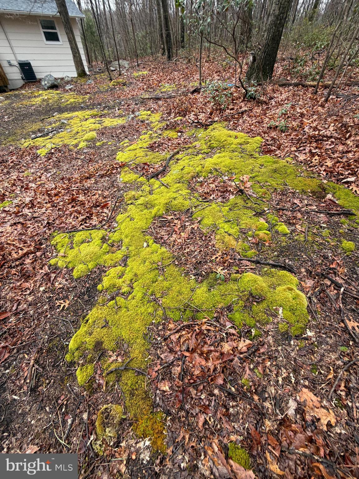 WILD ACRES - Residential