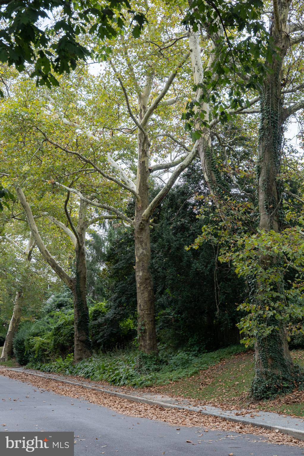 GREATER HOMELAND HISTORIC DISTRICT - Residential