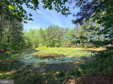 Vacant Land For Sale - LOT 96 Sturgeon Road<br/> Brunswick County, LAWRENCEVILLE, VA 23868