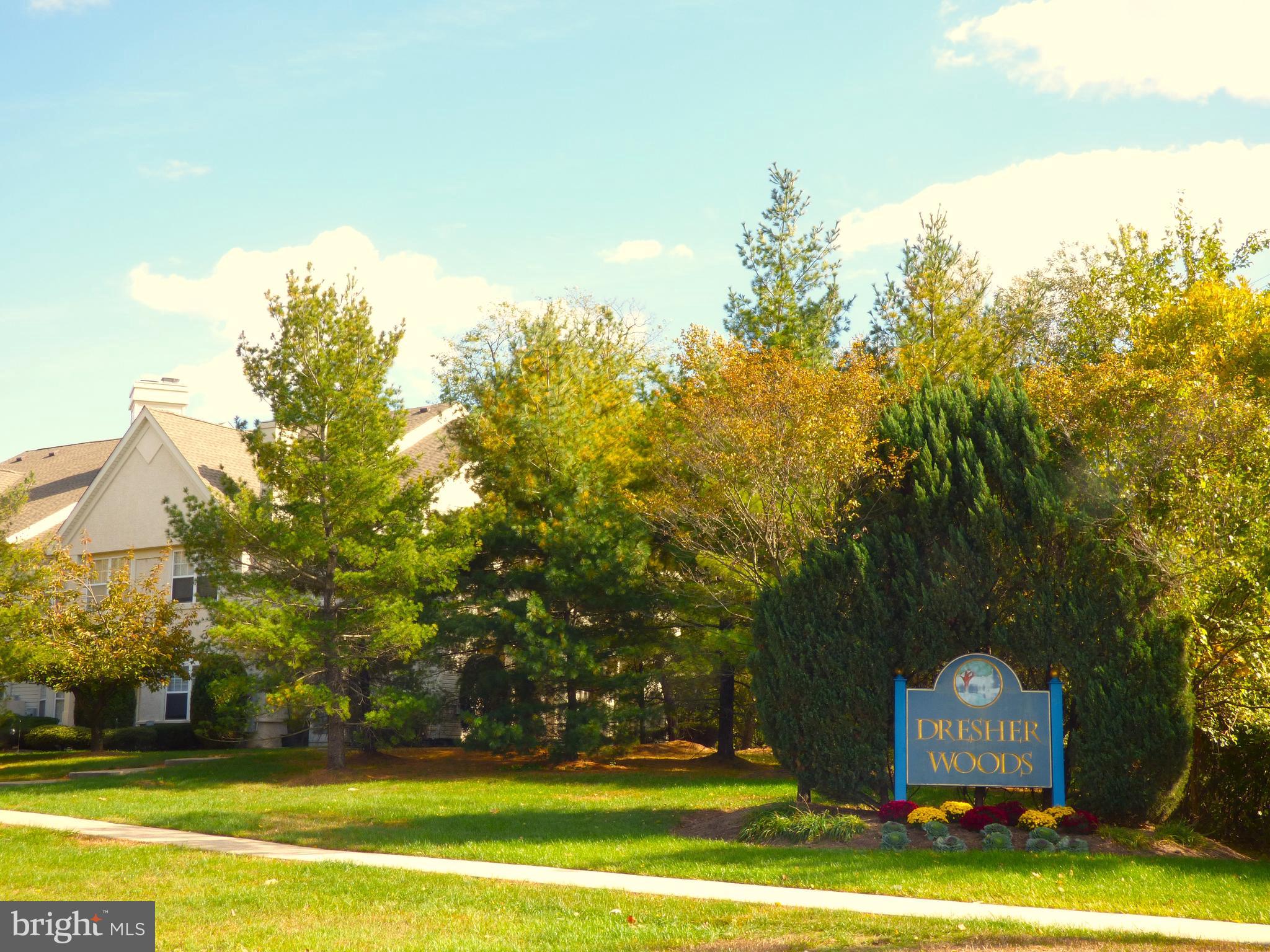 DRESHER WOODS - Residential