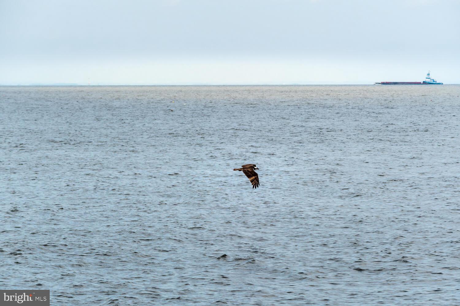 LOVE POINT - Residential