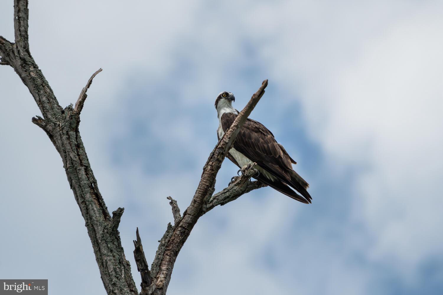 LOVE POINT - Residential