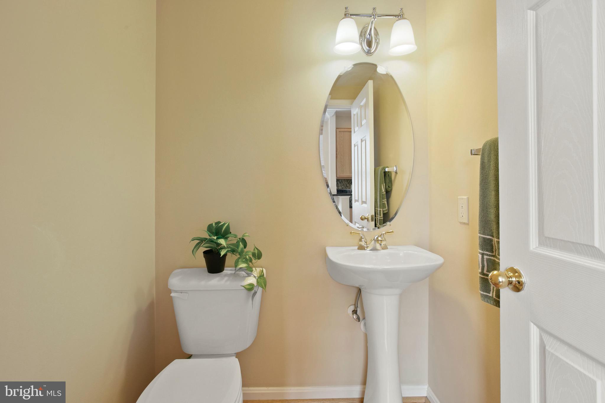 ALBEMARLE SQUARE - Residential