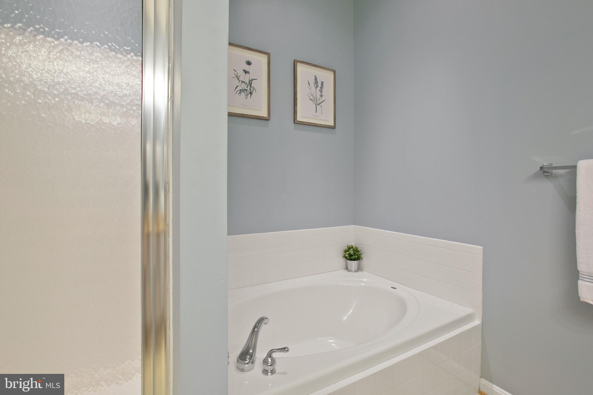 ALBEMARLE SQUARE - Residential