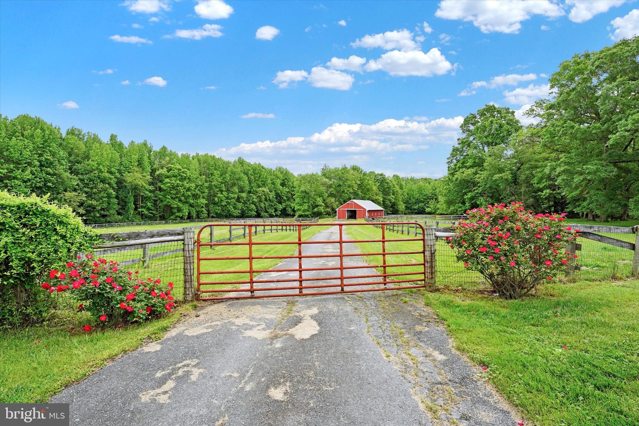 NONE AVAILABLE - Farm