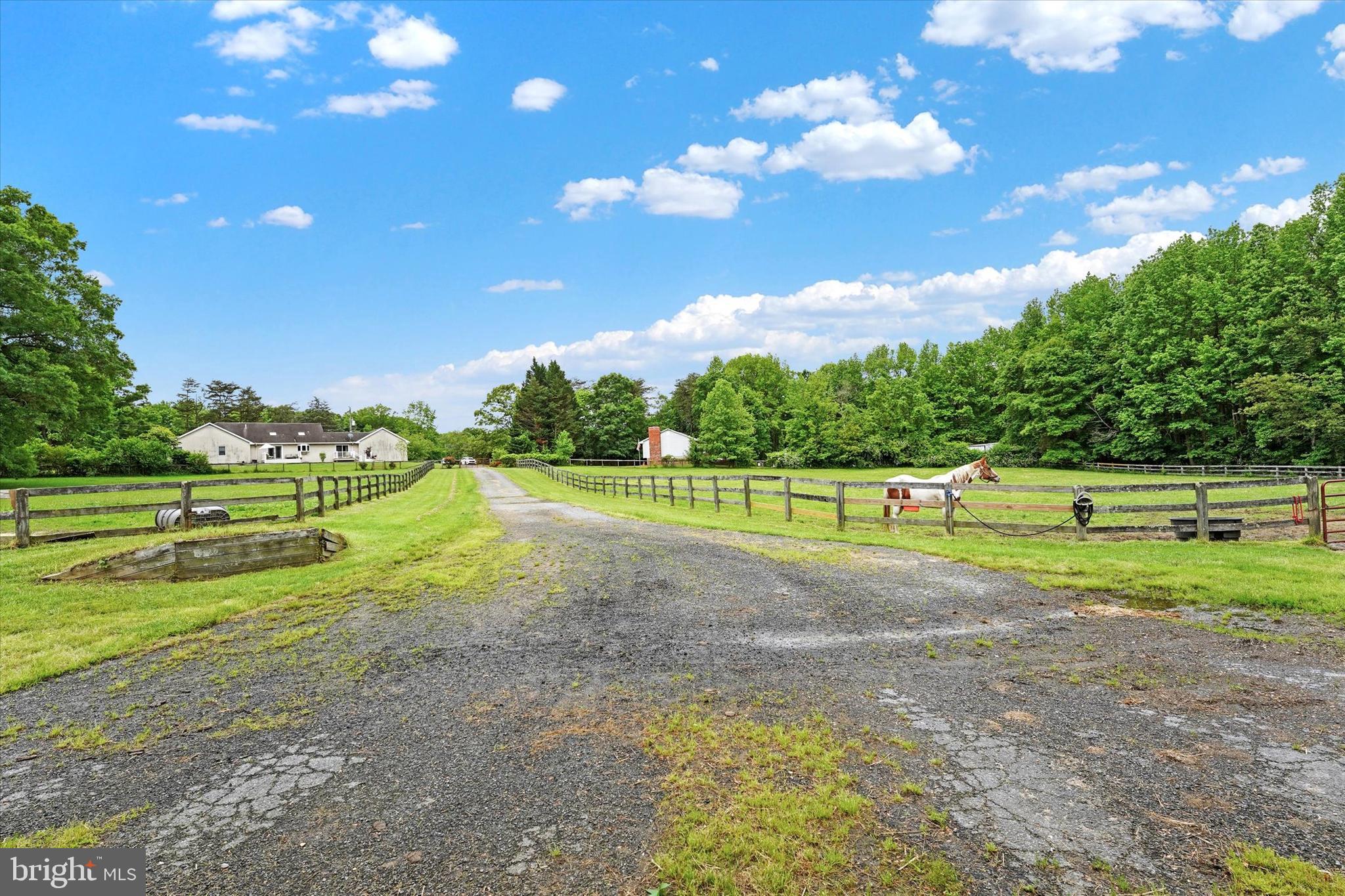 NONE AVAILABLE - Farm